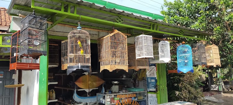 Burung Kesayangan Anda, Solusi Cilacap yang Tepat di Dian Bird Shop No.10